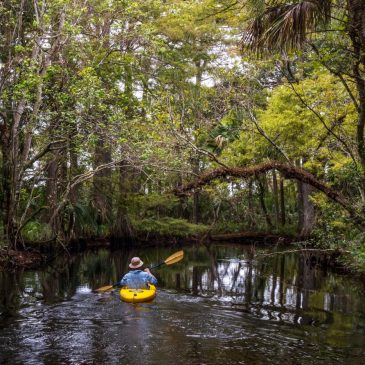 Travel: Paddle the Loxahatchee River, one of two National Wild and Scenic Rivers in Florida