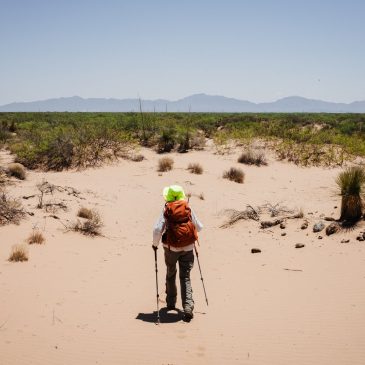 Death in the Desert