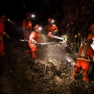 A ‘Particularly Dangerous Situation’ is forecast for fire-scarred Los Angeles area