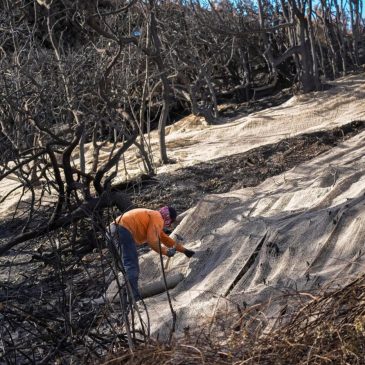 Rain in Southern California creates mudflows but helps firefighters