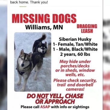 Family looks for justice after missing dogs are killed near Minnesota state park