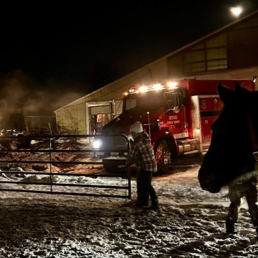 After water froze, Hugo Fire Department helped hydrate sanctuary horses