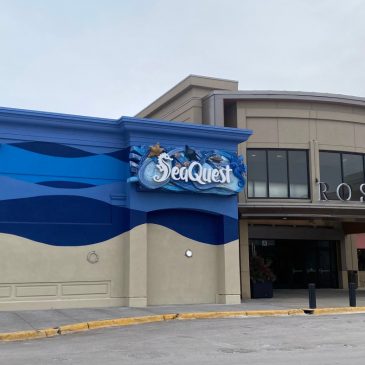 After bankruptcy filing, embattled Roseville aquarium chain to potentially sell for $80K