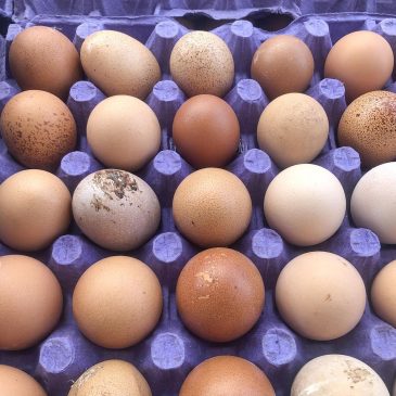 More eggs are being confiscated at the US-Mexico border amid the bird flu outbreak