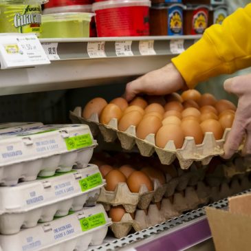 Twin Cities restaurants, retailers, consumers brace for egg prices to keep rising