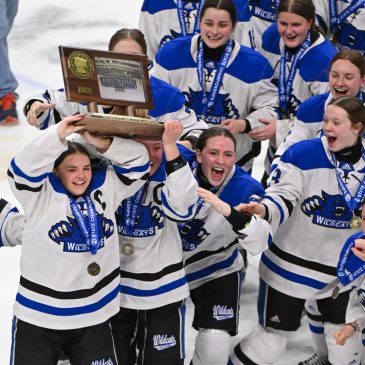 Class A state hockey: Dodge County wins title over Warroad in overtime