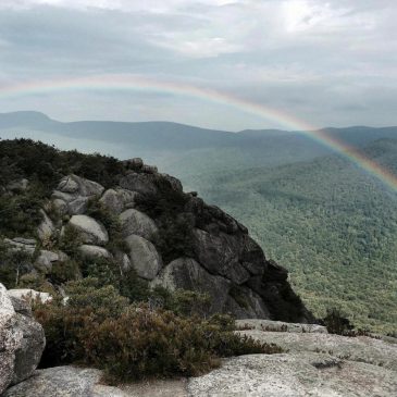 Trump administration fires 1,000 workers at National Park Service, raises maintenance concerns