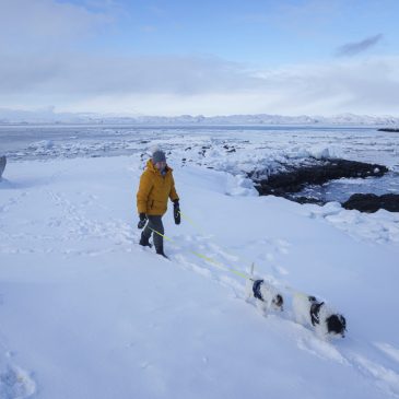 Greenland’s defiant leader says the island ‘is ours’ as Trump vows to acquire the territory