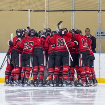 State hockey: Stillwater is back in the tournament, led by a deep, talented crop of seniors