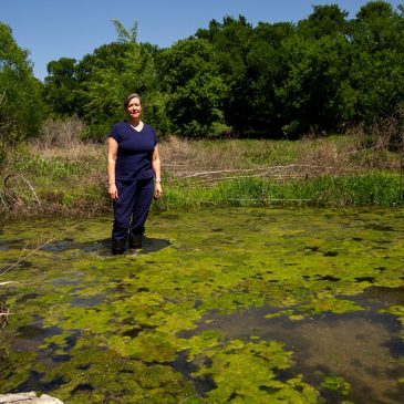 In Booming Central Texas, Wastewater Is Polluting Rivers and Streams