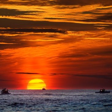 Environmental groups fear Trump’s order to speed deep-sea mining will harm ecosystems
