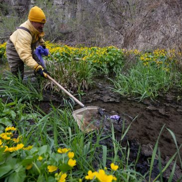 10 Minnesota environmental nonprofits join forces for Earth Day fundraiser