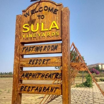 In India, wine culture takes off — with a vineyard scene that’s worth a trip