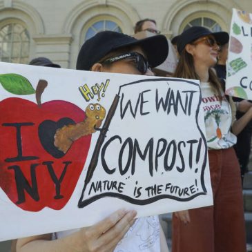 Opinion: Why NYC Needs Community Composting to Make Curbside Collections Work