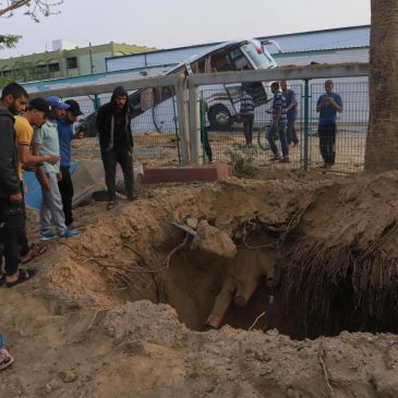 Who is Mohammed Sinwar, the Hamas leader Israel says it killed?