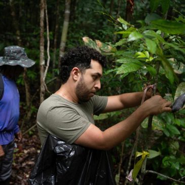 What would happen if the Amazon rainforest dried out? This decades-long experiment has some answers
