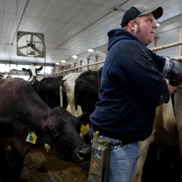 Less farmland is going for organic crops as costs and other issues take root