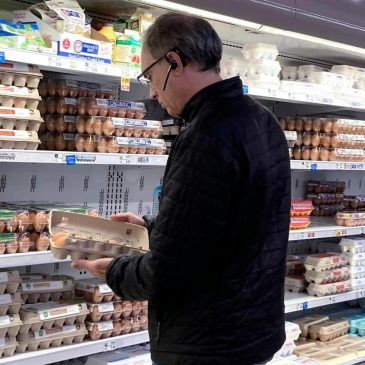 US egg prices fall for the first time in months but remain near record highs