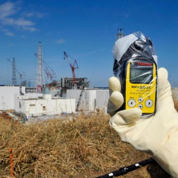 Slightly radioactive soil from Fukushima will be used in the prime minister’s flower beds