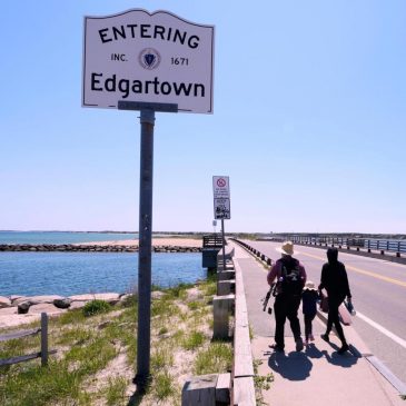 Endurance swimmer is attempting first-ever swim around Martha’s Vineyard ahead of ‘Jaws’ anniversary