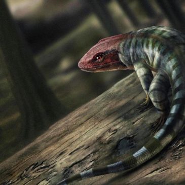 How ancient reptile footprints are rewriting the history of when animals evolved to live on land