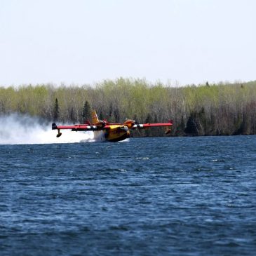 Dozens evacuated as northern Minnesota’s Camp House Fire grows; National Guard to assist