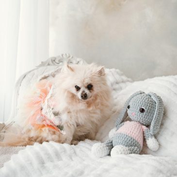 Our Morning Report newsletter featured 23 of our readers’ pets in April