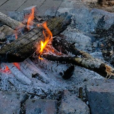 Northwoods comes to life with sounds of spring during evening by campfire
