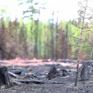 Firefighters make progress on Northern Minnesota blazes