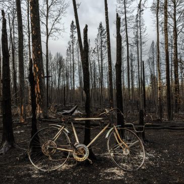 St. Louis County officials seeking disaster aid for destructive wildfires