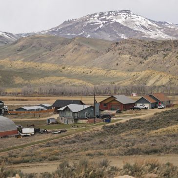 A boy likely died from drinking too much olive brine. A Colorado county tried to make the suspicious case disappear