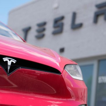 Tesla’s monthly sales in Europe plunge by half, signaling backlash against Musk runs deep