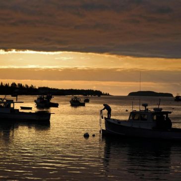 Trump budget would cut ocean data and leave boaters, anglers and forecasters scrambling for info