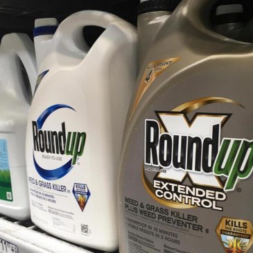 Georgia become second US state to shield maker of Roundup weed killer from some cancer claims