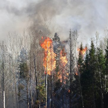Northern Minnesota fires: If no rain, gusting wind may be ‘game-changer,’ sheriff says