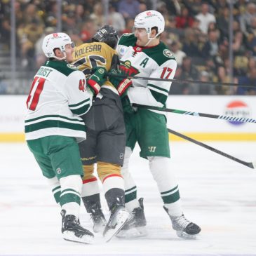 Wild’s Gustav Nyquist talks of ‘small margins’ after costly offside