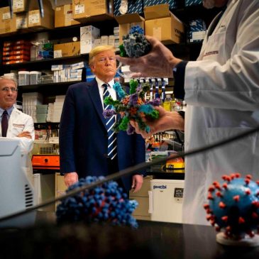 Trump Administration Slashes Research Into LGBTQ+ Health