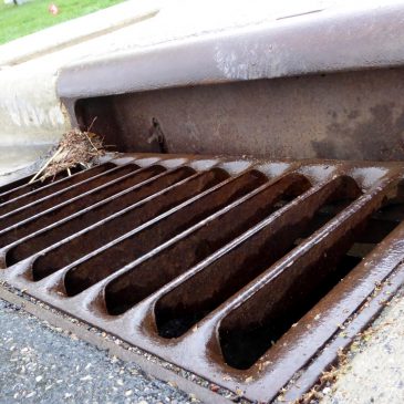 St. Paul Public Works reports a storm drain vandalism spree