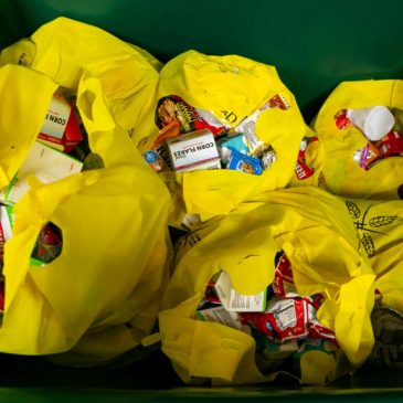 SNAP Under Attack: What Federal Cuts to Food Aid Would Mean for NYC