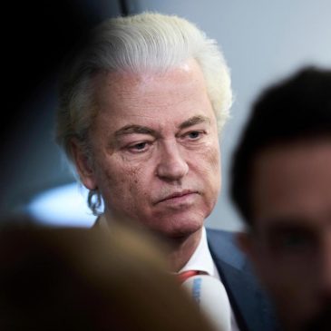 The Dutch government has collapsed. What happens next?