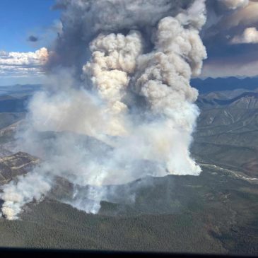 Canadian wildfire smoke causes ‘very unhealthy’ conditions in American Midwest and reaches Europe