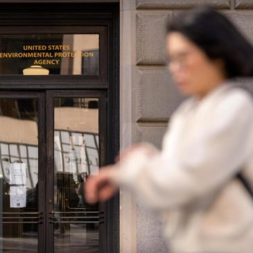 EPA employees put names to ‘declaration of dissent’ over agency moves under Trump