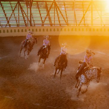 Dancing on Horseback