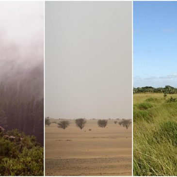 Early humans survived in a range of extreme environments before global migration, study says