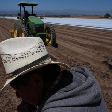 ICE raids and their uncertainty scare off workers and baffle businesses