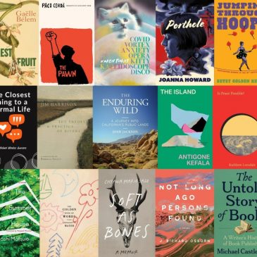 33 new books you’ll want to read this summer from independent publishers