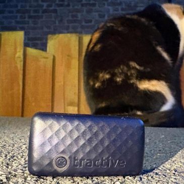 One Tech Tip: No more lost cats and dogs. Use tech to track your pet