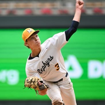 State baseball tournament: An Easter Metro primer