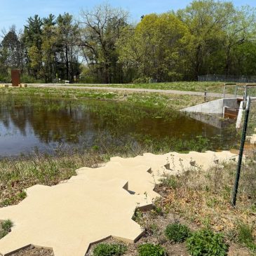 At new Hasenbank Park in Woodbury, stormwater treatment takes center stage