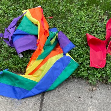 With 16 pride flags vandalized in St. Paul, neighbors responding with more flags